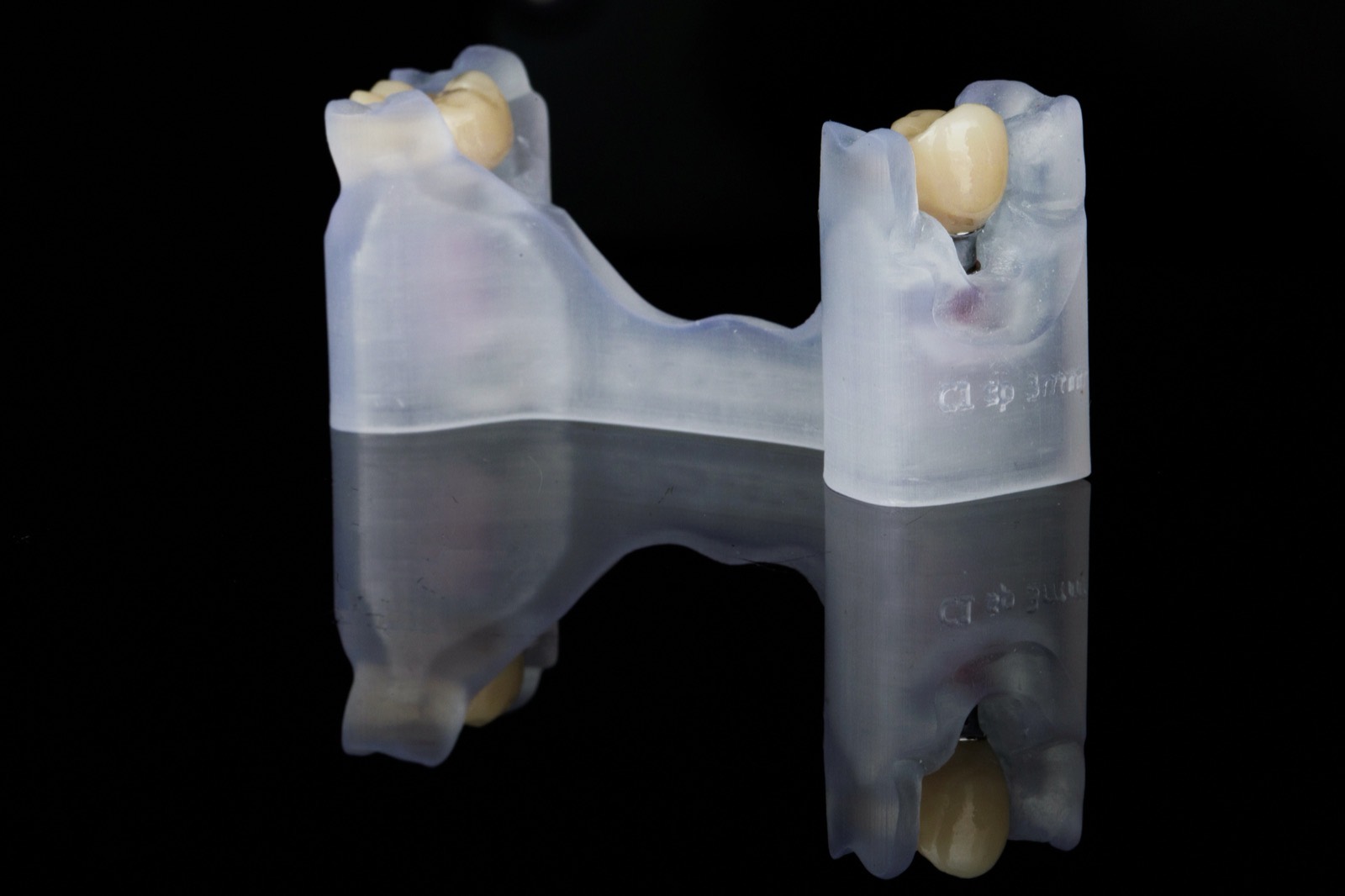 Translucent printed dental model with two crowns, reflected on a black surface